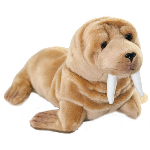 Doris de walrus